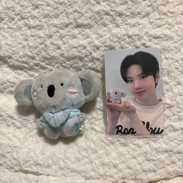 treasure 준규ddayo 봉제 인형