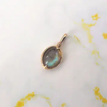 agete k10 래브라도 라이트 목걸이 참