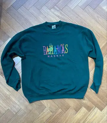 프룻 오브 더 룸 맨투맨 XL