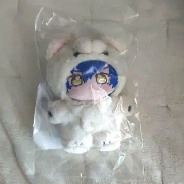 앙스타 사자나미 쥰 이츠누이