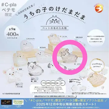 우리 아이 털뭉치 블랙 치와와 미사용 새상품