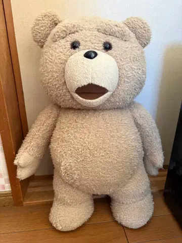 테드 봉제 인형