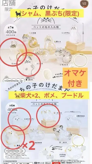 [정품] 우리 애기 털뭉치 고양이 강아지 점포 한정 가챠가챠 덤 포함