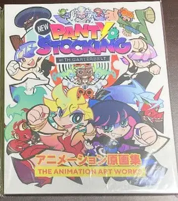 New PANTY & STOCKING with GARTERBELT 원화집