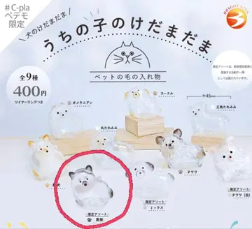 우리 아이 털뭉치 강아지 시바 한정판 정품