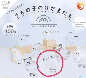 우리 아이 털뭉치 강아지 한정판 정품