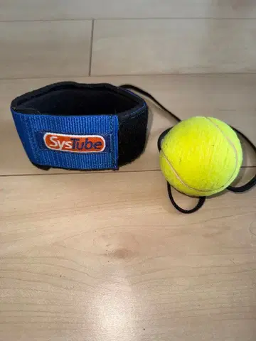 Sys tube Toss Master 토스 마스터 테니스 토스 연습용