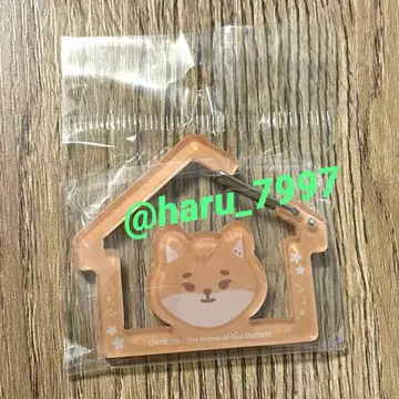 Day6 팝업 day6.zip youngk ke 가챠 키링