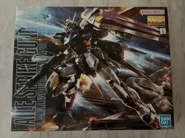 MG 에일 스트라이크 건담 ver.RM