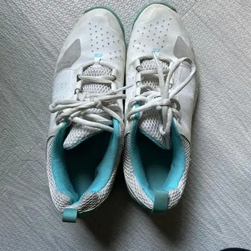 요넥스 신발 얼룩은 닦아두겠습니다