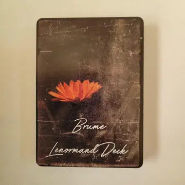 해외 인디 덱 르노흐망 카드