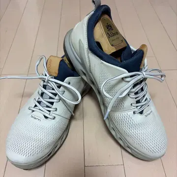 에코 바이옴 스파이크리스 골프화 사이즈 41 (26cm)