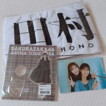 사쿠라자카46 타무라 호노 굿즈 세트