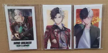 WIND BREAKER 윈브레 윈히로 벚꽃