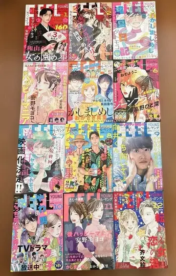 FEEL YOUNG 2023.1~12 12권