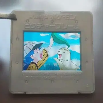 Meiji 포켓몬 피처 프레임 치코리타