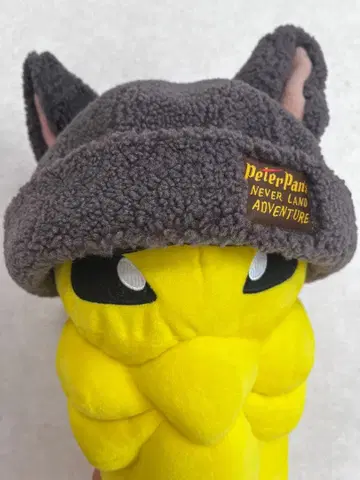 디즈니씨 피터팬 로스트키즈 모자