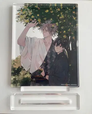 타카라노비이도로 아크릴 그래픽 패널