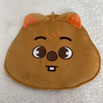 straykids HAN 부채 커버