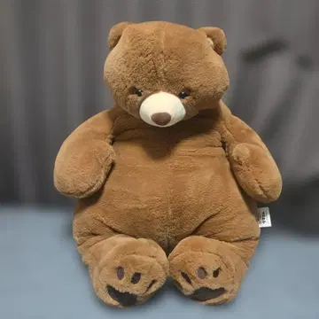 브라운 곰 봉제 인형 빅
