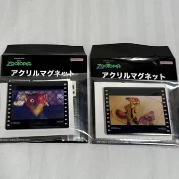 주토피아 아크릴 마그넷