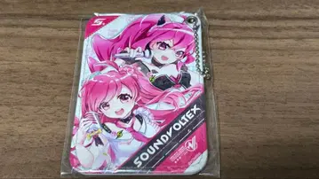 SOUND VOLTEX 패스 케이스