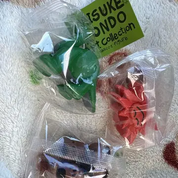 다이스케 콘도 코우다이스케 DAISUKE KONDO 가챠