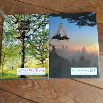 트리하우스에서 꿈을 꾸다