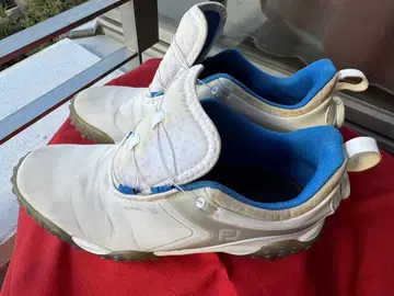 가격 인하했습니다! FootJoy 골프화 BOA 시스템 화이트/블루