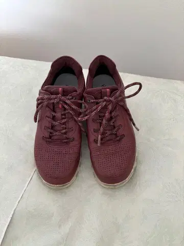 ecco 에코 스니커즈 가죽 GORE-TEX