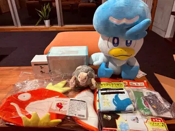 포켓몬 피카피카 박스 2026 정리