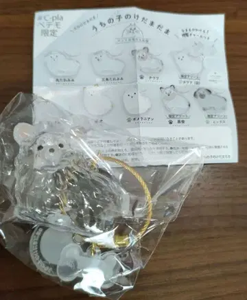 우리 아이 털뭉치 한정판 모듬 치와와 화이트