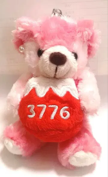 지역 한정 베어 후지산 홍후지 S 사이즈