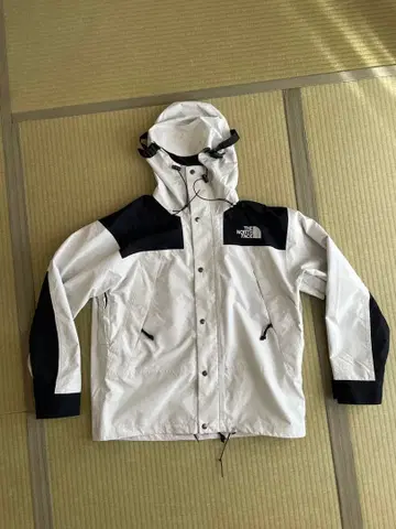 노스페이스 고어텍스