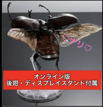 온라인판 마르스 장수풍뎅이 생물대도감 어드밴스 곤충 생물