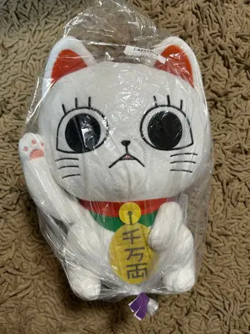 미개봉 새상품 다다단 터보바바(마네키네코) 오스와리 BIG 봉제 인형