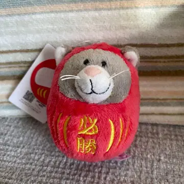 NICI 필승 합격 기원 달마 니키 마스코트 그레이 캣 고양이