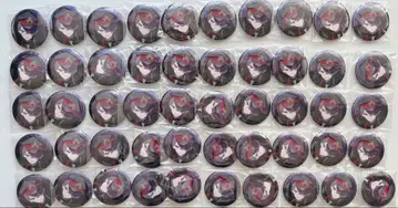 카가미 하야토 타로 캔뱃지