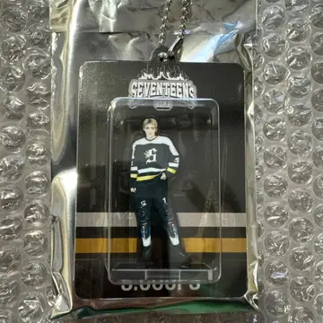 SEVENTEEN HOME ACRYLIC KEYRING S.COUPS