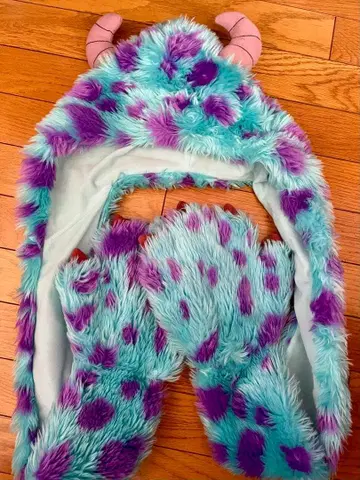 샐리 팬캡 디즈니