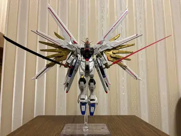HG 1/144 마이티 스트라이크 프리덤 건담 부분 조립 완성품