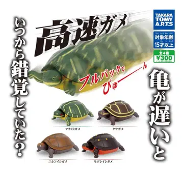 거북이 애호가를 위한 타카라토미 고속 거북이 캡슐 토이 전종 세트