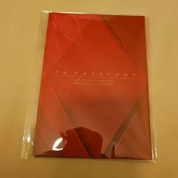 하마사키 아유미 TA PASSPORT