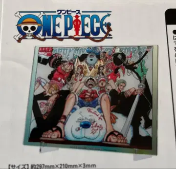 원피스 호일 아크릴 아트