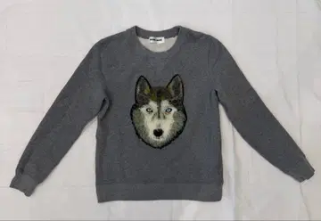 허스키 개가 입체적인 맨투맨