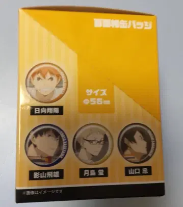 하이큐 백면상 캔뱃지 미개봉 box