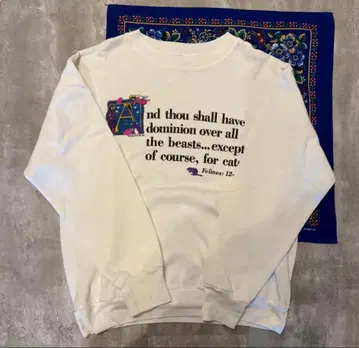 90-00s 초기 DELTA 프린트 SWEAT