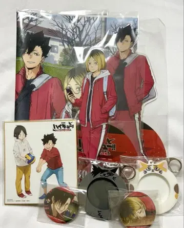 하이큐!! 쓰레기장의 결전 TOHO animation STORE 특전