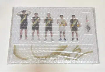 남자 배구 남자 밸리 아크릴 스탠드