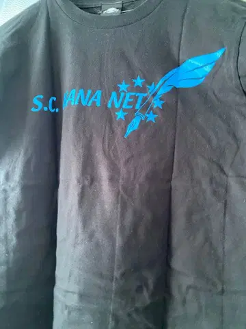 레어 미즈키 나나 2015년 라이브 T (M 사이즈)